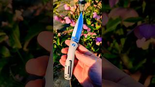 MBK Rosalinda by Ray Laconico in ZDP189 edc knife review camping edcknife [upl. by Seraphine712]