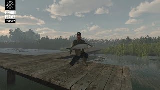 Fishing Planet Everglades Tarpon [upl. by Garibull664]