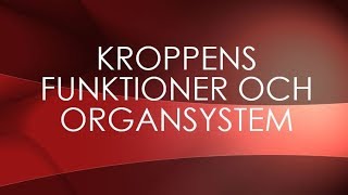 Människokroppen  organsystem [upl. by Berl]