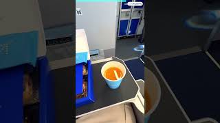 IndiGo Stretch  Business Class  Delhi to Mumbai Flight trending shorts viralvideo shortvideo [upl. by Annekahs332]