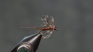 Pheasant Tail Soft Hackle [upl. by Seligman]