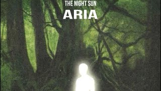 The Night Sun  ARIA [upl. by Atirres]