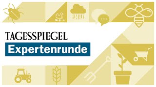 Tagesspiegel Expertenrunde „Zu Tisch für… nachhaltige Landwirtschaft“ [upl. by Yednil]