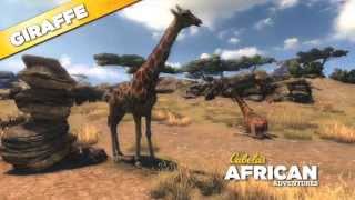 Cabelas African Adventures Giraffe 360 [upl. by Aramo641]