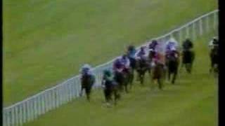 Shergar  1981 Irish Derby [upl. by Aissat]