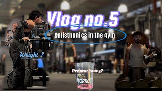 Vlog no5  calisthenics in the gym [upl. by Oigolue]