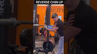 Reverse Chin Up chinups scapula lats tendon [upl. by Etteloc]