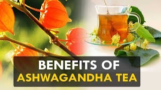 Benefits of ashwagandha Tea  Health Sutra [upl. by Llennor177]