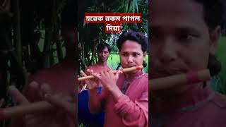 হরেক রকম পাগল দিয়া  horek rokom pagol diya  বাঁশির সুরে  madhob basi মাধব বাঁশি। [upl. by Illac]