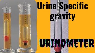 UrinometerSpecific gravity of Urine [upl. by Klarrisa]