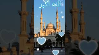 Urdu Naat Nasheed Vocals naat nasheed hamd [upl. by Albertine75]