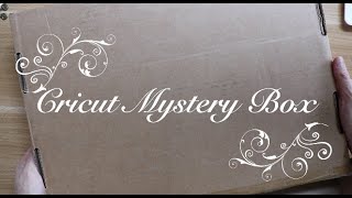 Cricut mystery box Berry Blast [upl. by Leeland439]