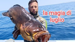 pescasub vi mostro cosè successo nel mese di luglio con Concetto Felice by Salvimar [upl. by Ahsiakal]