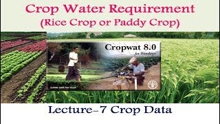 CropWAT 80 Crop Data for Paddy Crop  7 [upl. by Fabozzi634]