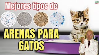 🐱 ¿CUALES SON LOS MEJORES TIPOS DE ARENA PARA GATOS 🐱 [upl. by Yracaz]