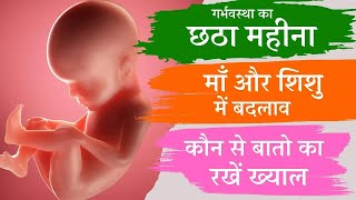 प्रेगनेंसी का छठा महीना  6th MONTH OF PREGNANCY l drshabeenajawed 6thmonthpregnancy pregnancy [upl. by Carder]