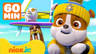 Paw Patrol  ¡Rubble de PAW Patrol está de racha rescatando animales SALVAJES  Nick Jr en Español [upl. by Vilma]