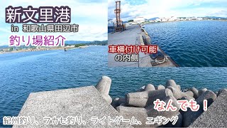 【和歌山県南紀】田辺市にある新文里港の釣り場を紹介！短い時間でどんな場所なのか一挙紹介 [upl. by Arden]