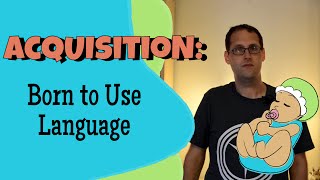 Language Acquisition and Universal Grammar [upl. by Wolgast173]