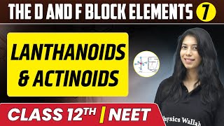 The d and f Block Elements 07  Lanthanoids amp Actinoids  Class 12thNEET [upl. by Efar]