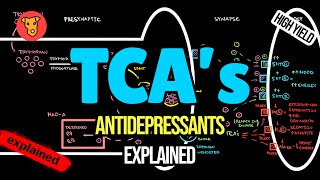 TCAs Mechanism of action Side effects Tricyclic antidepressants Pharmacology [upl. by Isla]