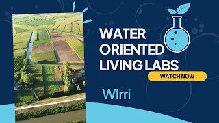 WIrri Transforming Agricultural Water Efficiency in Italy’s Living Lab [upl. by Einamrej]