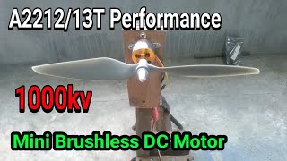 Performance Mini Brushless Dc Motor A221213T 1000kv [upl. by Biamonte]