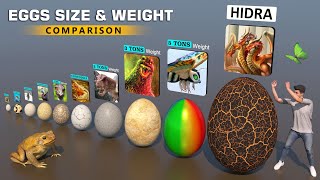 Eggs Weight Comparison 3D  The Heaviest Egg 2023 [upl. by Aruasi834]