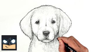 How To Draw a DOG  GOLDEN LAB PUPPY  Sketch Saturday [upl. by Kuth66]