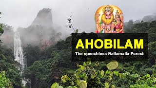 Ahobilam Narasimha Temple History in english  Nava Narasimha Darshan [upl. by Aniuqal729]