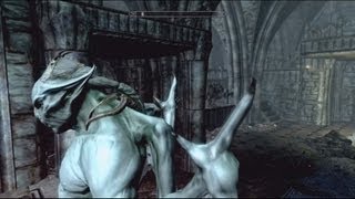 Skyrim Dawnguard  Lets Play as Vampire  1 in HD [upl. by Nnyloj]