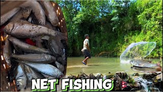 Net Fishing In Nepal सानो खोला मा जाल खेलेर यती धेरै माछा मारियो। fishing netfishing adventure [upl. by Malkah]