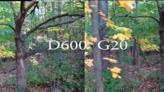 Nikon D600 vs Canon vixia HF G20 video [upl. by Doowyah778]