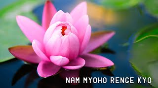 NAM MYOHO RENGE KYO powerful healing chanting [upl. by Salomi]