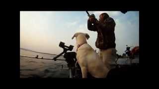 Fall 2012  Columbia River Chinook Salmon Takedowns [upl. by Boiney478]