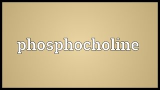 Phosphocholine Meaning [upl. by Annonyw44]