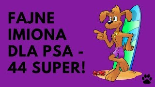 Fajne Imiona Dla Psa  44 Super Imion  Imionowo [upl. by Nauqel]