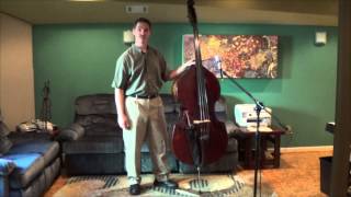 Double Bass Lesson  Standing pt 1  Holding the Bass [upl. by Hcirdla]