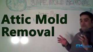 Attic Mold Removal  Attic Mold Remediation How to Remove The Green Solution Part 3 [upl. by Katushka]