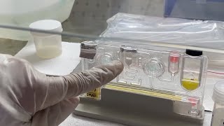 How to perform a RTPCR test  Actual Demonstration step by step of a Sputum sample  Explained easy [upl. by Raoul873]