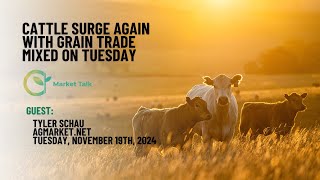 Cattle Surge Again with Grain Trade Mixed [upl. by Anneh131]