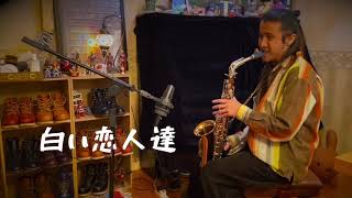 白い恋人達 桑田佳祐 Dickson kwok sax cover [upl. by Ayyn184]