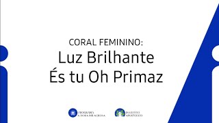 Igreja Apostolica Coral Feminino Luz Brilhante És tu oh Primaz [upl. by Eirallih522]