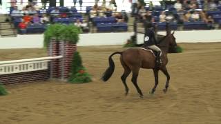 Video of CLEARWAY ridden by EMMA KURTZ from ShowNet [upl. by Tehc26]