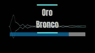 2 semitonos Karaoke  Oro  Bronco [upl. by Fujio]