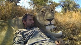 GoPro Lions  The New Endangered Species [upl. by Reseta]