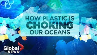 Plastic pollution crisis How waste ends up in our oceans [upl. by Wilcox]