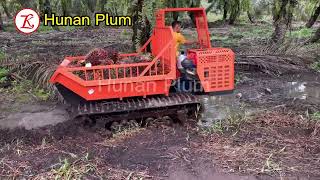 35 ton updated crawler dumper 50cm wide rubber track in oil palm plantation peatland swamp [upl. by Nuris333]