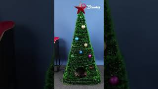 Holiday Joy A Cat’s Christmas Adventure xmastree cat shortsyoutube [upl. by Etnoved]