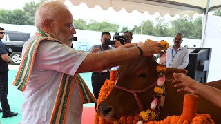 PM Modi worships cows visits related exhibition [upl. by Anita]